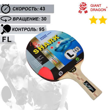 Tenis de dragon discount